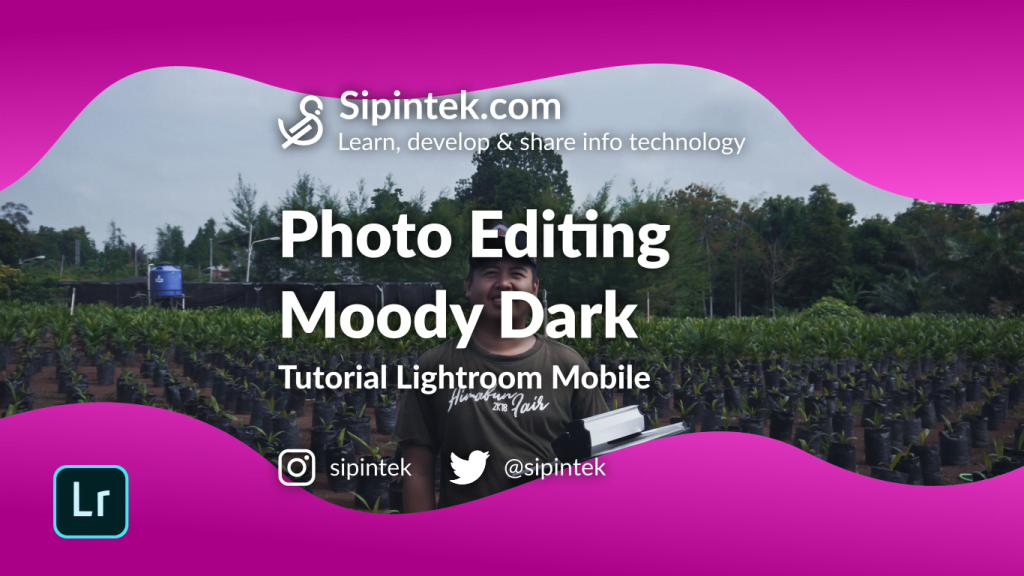 25+ Preset Moody Lightroom Terbaik untuk Fotografer - desainae.com