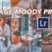 CARA MEMBUAT PRESET VINTAGE MOODY DI LIGHTROOM MOBILE - YouTube