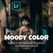 Ücretsiz Mobil Ücretsiz Moody Lightroom Hazır Ayarları | Lightroom ...