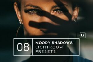 25+ Preset Moody Lightroom Terbaik untuk Fotografer - desainae.com