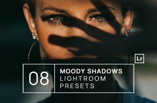 25+ Preset Moody Lightroom Terbaik untuk Fotografer - desainae.com